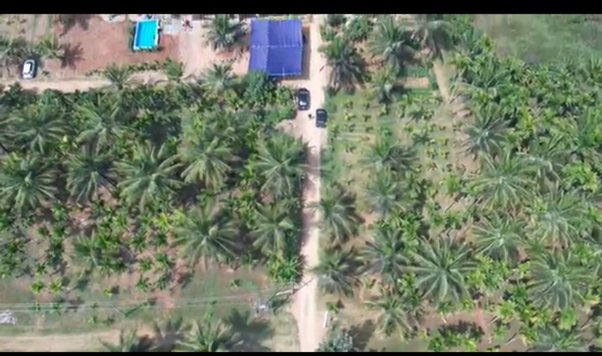 Farm Land for Sale – Near Shivaganga Hills (Between Nelamangala & Dabaspet)